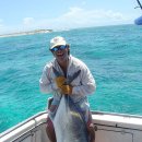 BIG GIANT TREVALLY 이미지