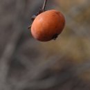 하신리주차장