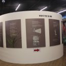 제주의 한란 이미지