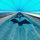 자래리농장 이미지