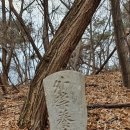 외금양계비 이미지