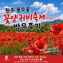 원주 용수골 꽃양귀비 축제 2026 방문후기, 실시간 개화 상황과 주차 입장료 빨간 우산 꿀팁