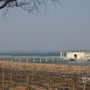 이야기가있는바다 이미지