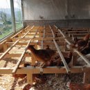 백일농장 이미지