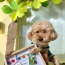 뭉티의 하루 이미지