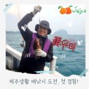 제주살이 중 처음해본 서귀포 배낚시, 지금이 꽃우럭철(제주에만 있는 꽃우럭)