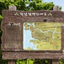 원적산 정상 이미지
