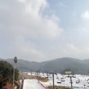 웰리힐리파크 루지파크 이미지