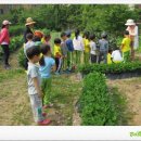 제일초등학교(병설) 이미지