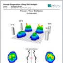 본 동물의료센터 이미지