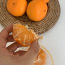 여니파파농장 네이버블로그