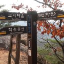 외솔목장 Daum카페
