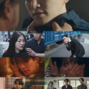 태풍이네 이미지