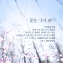 아름다운상상