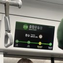 야구장 | 잠실야구장 직관 후기! LG트윈스 vs 한화이글스