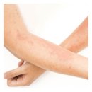 Wellness Gym 이미지