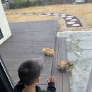 이른비스테이 이미지