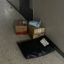 불혹: 미혹되지 않는다. 아닌데요... 그럼 혹시 거절해도 될까요? 불혹의 직장인 일상