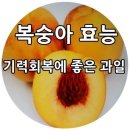 복숭아 효능 이미지