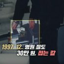 장미비디오 이미지