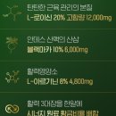 포헬라 이미지
