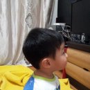 머털도사미용실 이미지