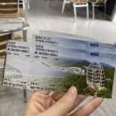 단양 당일치기 여행