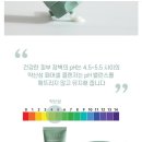 셀이노베이션 이미지