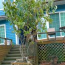 법수펜션 이미지