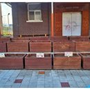 근화초등학교 이미지