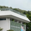 2025 대구어린이세상 어린이날 행사 후기 | 체험은 없고 실망만 가득했던 하루