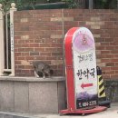 경희소명한약국 이미지