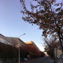 모듈화산업단지 이미지