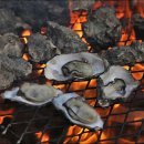 별주부전 이미지