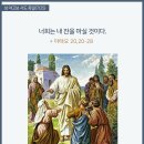 7월 25일 성야고보 샤도 축일 김재덕신부 이미지