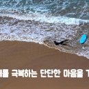 신선한생각연구소 이미지