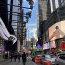 다정동_the다정빌딩옆 | Top of the 롹앤롤 &amp; Arlo NoMad