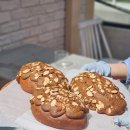 꽃피는4월밀익는5월 이미지