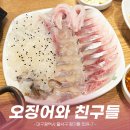 [대구] 귀한 오징어회 먹고 온 장기동 오징어와친구들 후기
