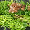 박소현미나리 이미지