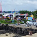 월령리(월령포구) | 제주도 월령포구 스노쿨링 후기 빡빡이스쿠버 온수샤워 장비대여