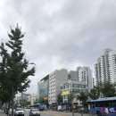 로젠하임 이미지