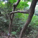 옥산제방 이미지