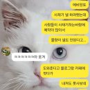 아비엥또 이미지