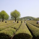 주)보성 이미지