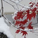 태안자연산횟집 이미지