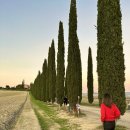 (주)초원렌트카 이미지