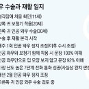 와우백수 이미지