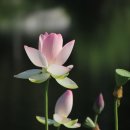 주식회사 시온테크 이미지