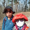 원주굽이길 2코스 700년 노송길 | 원주굽이길 2코스 700년 노송길